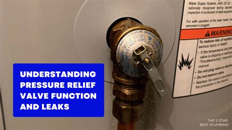 Leaking Rheem Water Heater: 7 Causes and Solutions